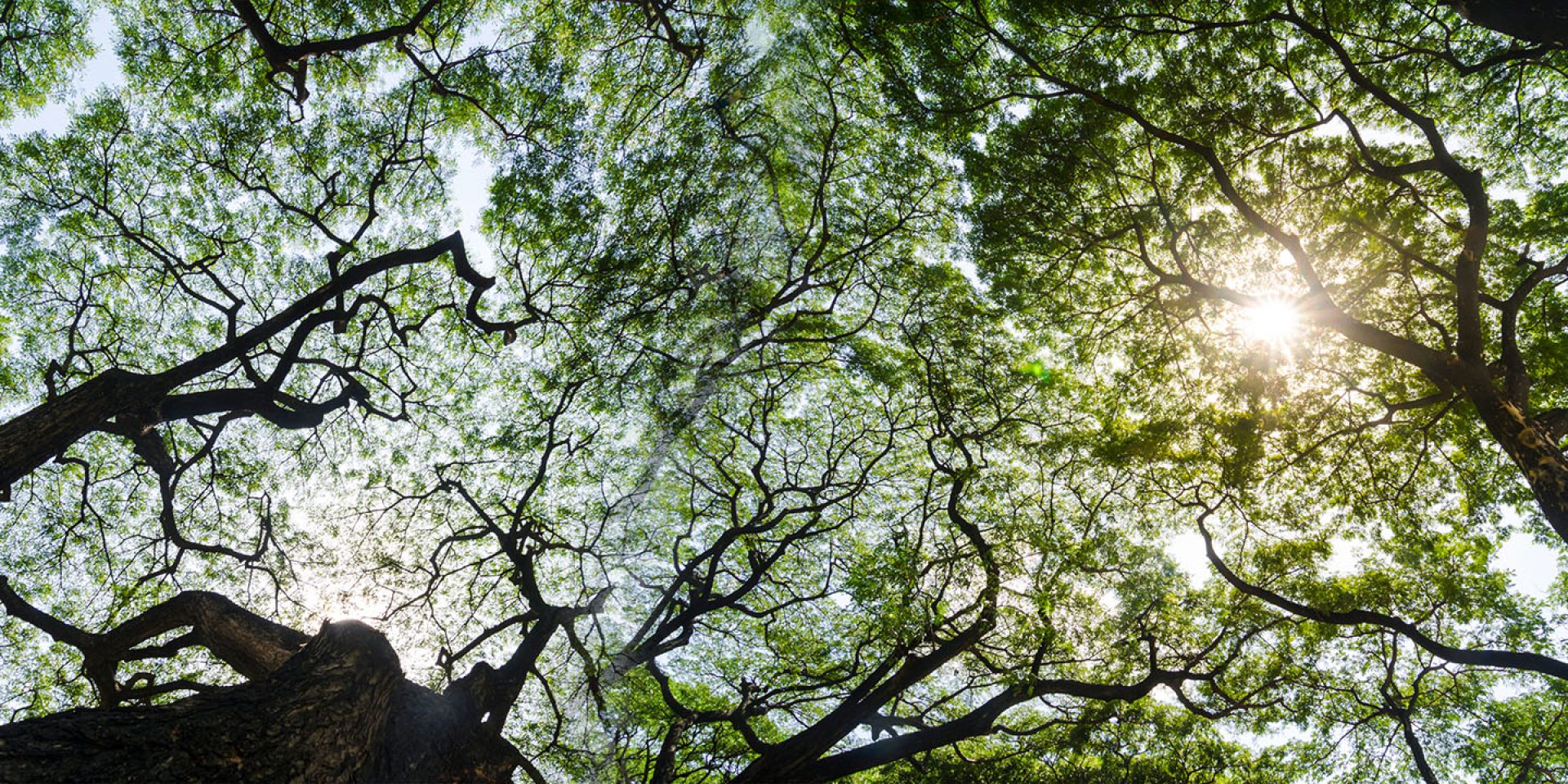 82c33fa0adabe84e7635c7d68f4d85cbdbdc0bab